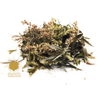 Beifuß im Gläschen 50ml