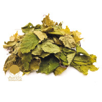 Birke im Gläschen 50ml