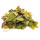 Birke 50ml