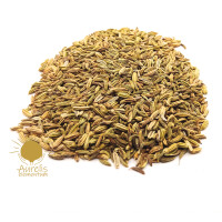 Fenchel 30ml
