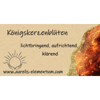 Königskerzenblüten 50ml
