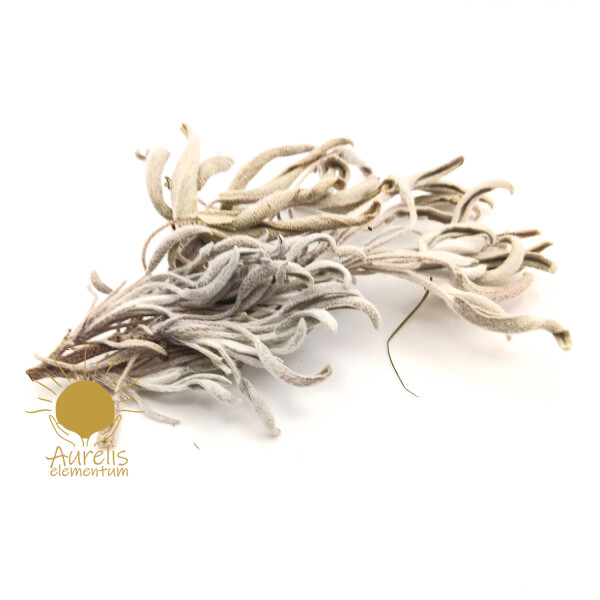 Salbei 100g